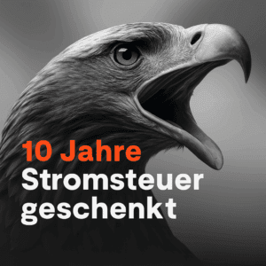 grüüün Strom Erfahrung 2025: Lohnt sich der Ökostrom-Anbieter wirklich?