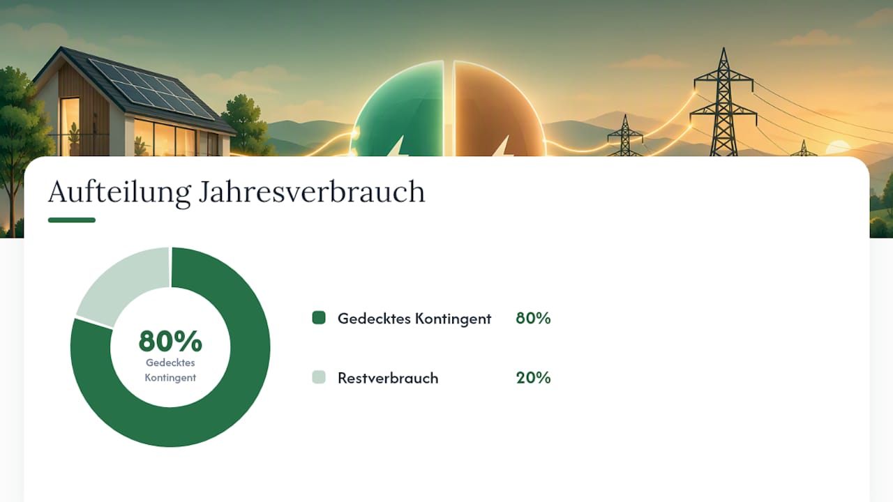 So wird die Entlastung durch die Strompreisbremse berechnet